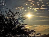 Jahrestreffen 2024 Bad Soden 328